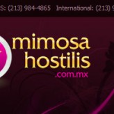 Mimosa Hostilis Xcart Customization