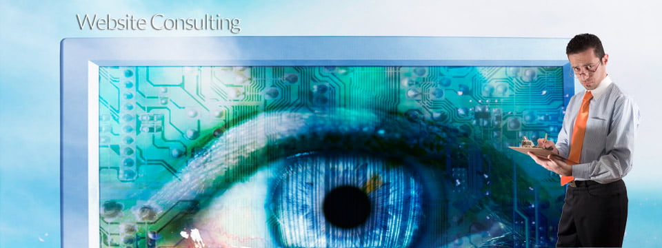 Website Consulting And Maintenance