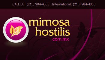 Mimosa Hostilis Xcart Customization