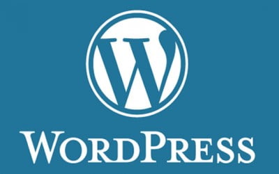 Video Instruction For Writing Blog Posts In WordPress